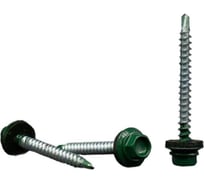 Кровельные саморезы BOWT ral 6005, 4.8x51 мм, 100 шт. R02767