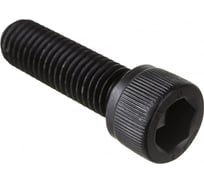 Винт ЦКИ DIN912 М10x50 мм, полная резьба, мм, 12.9, ОКС, HEX 8.0, 10 шт. 50932