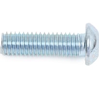 Винт Мир крепежа ISO 7380, М6x20, 10.9, цинк, 10 шт. ЦБ-00092863