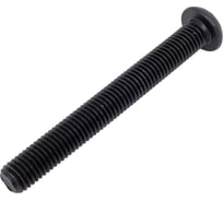 Винт Море-Метизов ISO 7380 класс прочности 10.9 оксид M12x100 мм,2 шт VINT7380121002M