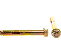 Анкерный болт с гайкой Зубр 10 x 77 мм, 40 шт, желтопассивированный, Профессионал 302342-10-077