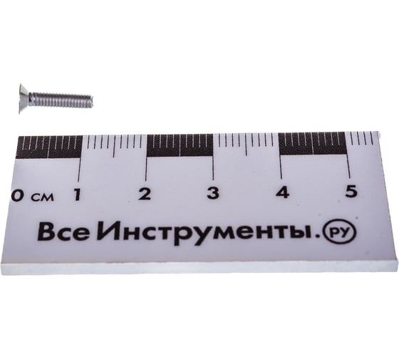 Винт с потайной головкой ЕВРОПАРТНЕР DIN 965 3х12 нержав. сталь 10 шт. G2 0312 1
