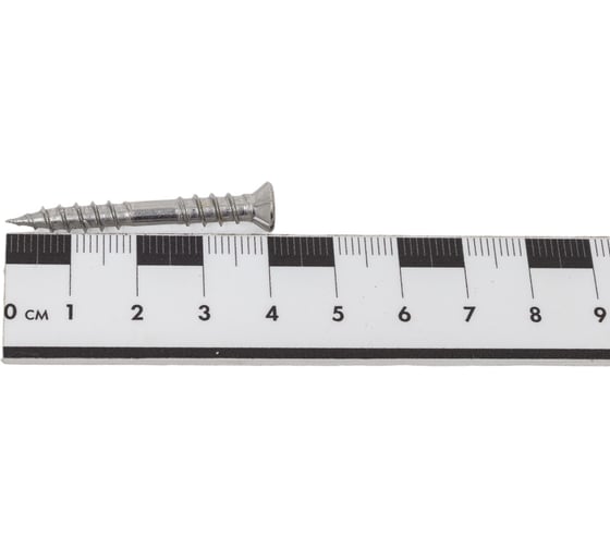 Шуруп для террасной доски ЕВРОПАРТНЕР самозенкующий, потай TORX 25, А2 5x40 25шт. E1 1418 1