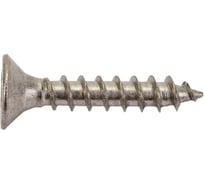 Универсальный шуруп ЕВРОПАРТНЕР с пот. гол. 3х16 нержав. сталь 15 шт. G2 3016 1