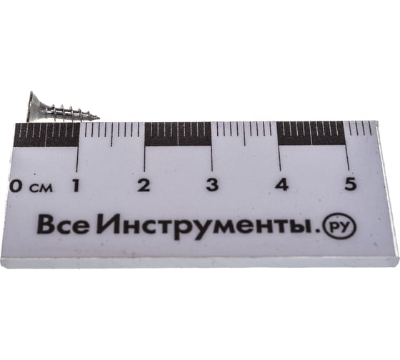 Универсальный шуруп ЕВРОПАРТНЕР с пот. гол. 3х12 нержав. сталь 15 шт. G2 3012 1