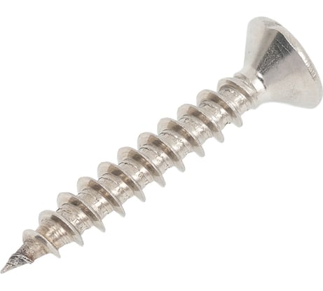 Универсальный шуруп ЕВРОПАРТНЕР с пот. гол. 4.5х30 нержав. сталь 10 шт. G2 4530 1