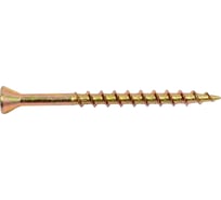 Самозенкующий шуруп ЕВРОПАРТНЕР HOBAU ж-п 4,2х55, 35 шт. 5 1242 1