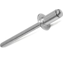 Заклепки Саморезик 4,8х14 алюминий/сталь, оцинк. DIN 7337 500шт ZAK AL/ST-4,8х14-500