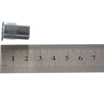 Заклепки резьбовые стальные (20 шт; M10х21.5 мм) КОБАЛЬТ 791-523