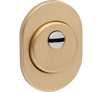 Броненакладка DEF.RLR/R.4825 SSG-39 сатинированное золото Fuaro 47889