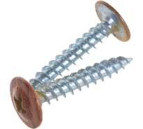 Саморез ПШ BULLIT PRINTECH 4,2х25 Орех 25 шт. 14-0020020