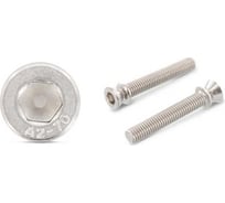Антивандальный отрывной винт ЦКИ арт.9155 М8x50, А2, SW 6, 2 шт. 81004