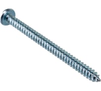 Шуруп с полукруглой головкой Метизный двор 4,8x60 оцинкованный DIN 7981, 100 шт. 4690441025425