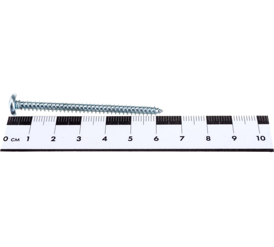 Шуруп с полукруглой головкой Метизный двор 4,8x60 оцинкованный DIN 7981, 100 шт. 4690441025425