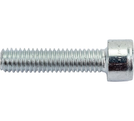 Винт Insparion 6x25 din912 8,8 оц мм, с цилиндровой головкой, внутренним шестигранником и усиленной закалкой, 10 шт. С1-00001376