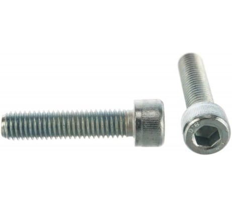 Винт Insparion 6x25 мм, din912, 8.8, цинк, с цилиндровой головкой, внутренним шестигранником и усиленной закалкой, 2 шт. С1-00001377