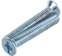 Потайной винт Метизный двор M4x25 DIN 965. 20 шт. 4607173906502