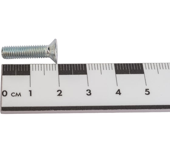Потайной винт Метизный двор M5x20 DIN 965, 100 шт. 4607159066695