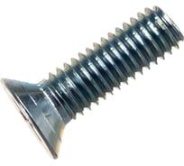 Потайной винт Метизный двор M5x16 DIN 965. 20 шт. 4607173906526