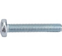 Винт с полуцилиндрической головкой Метизный двор 5x30 DIN 7985, 100 шт. 4607159067203