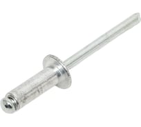 Заклепка вытяжная алюминий/сталь (4.8x14 мм; 500 шт) Метизный двор 4607173907172