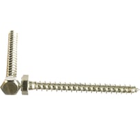 Шуруп для лаг и реек с шестигранной головкой BEFAST DIN571 6х60 100 шт GLF06060100S