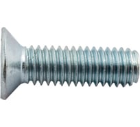 Потайной винт Метизный двор M6x20 DIN 965, 100 шт. 4607159066817