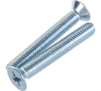 Потайной винт Метизный двор M6x40 DIN 965, 100 шт. 4607159066855