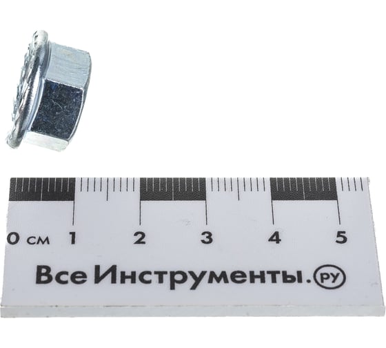 Самостопорящаяся гайка с фланцем Метизный двор M10 DIN 6923, 100 шт. 4607159067722