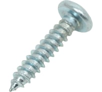 Шуруп с полукруглой головкой Метизный двор 4,8x22 оцинкованный DIN 7981, 250 шт. 4690441025234