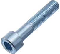 Болт с внутренним шестигранником Стройметиз DIN912 М8х50 8,8 цинк 20 шт. 3100798