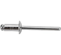 Заклепки алюминий/сталь (50 шт; 4.8 мм; 9.6 мм) АвтоDело 40490 12650
