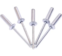 Заклепки алюминий/сталь (50 шт; 4.8 мм; 12.7 мм) АвтоDело 40487 12651