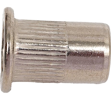 Гайка заклепка Мир крепежа стандартный борт, М6, 0,5-3 с насечкой, А2, 10 шт. ЦБ-00093114