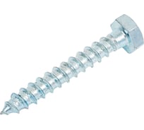 Шуруп с шестигранной головкой крепежная техника 6х40, 250 шт. БК 497102