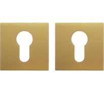 Накладка на цилиндр Trodos aye11, квадрат 03, золото, матовый 204910