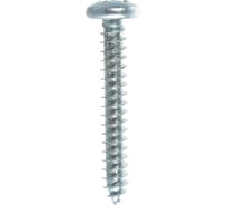Шуруп с полукруглой головкой Метизный двор 5,5x38 оцинкованный DIN 7981, 200 шт. 4690441025661