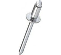 Заклепки Саморезик 3,2х6 алюминий/сталь, оцинк. DIN 7337, 1000 шт ZAK AL/ST-3,2х6-1 000