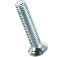 Винт с полуцилиндрической головкой Саморезик 6х30 DIN 7985, 100 шт. DIN7985-6х30-100