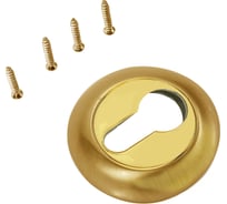 Накладка на цилиндр к ручкам Ренц латунь мат - латунь блестящая INET 08 SG/GP