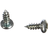 Шуруп с полукруглой головкой Метизный двор 3,9x9,5 оцинкованный DIN 7981, 1000 шт. 4690441024770