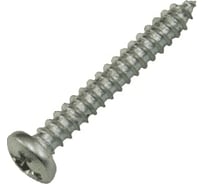 Шуруп с полукруглой головкой Метизный двор 4,8x32 оцинкованный DIN 7981, 250 шт. 4690441025296