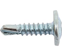 Саморез Крепежная техника прессшайба сверло 4,2х16 1 кг 531404 ВЕС