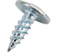 Саморез Крепежная техника прессшайба острая 4,2х13 1 кг 531200 ВЕС