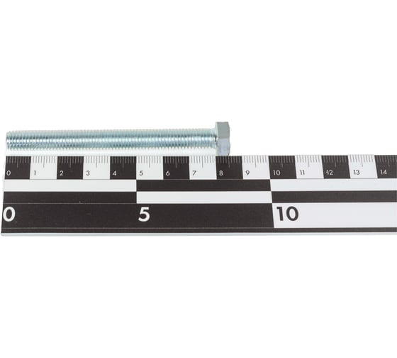 Болт SWFS DIN933 М8х80, 50 шт. тов-089232