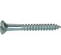 Шуруп ЦКИ DIN97 3x25 Ц 200 шт. 59196