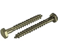 Сантехнический шуруп ЦКИ DIN571 12x280 Ц SW 19 5 шт. 2753