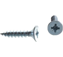 Саморез Стройметиз 5,0х25 универсальный, белый цинк уп. 1200 шт. 2150838