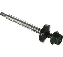 Кровельный саморез Стройметиз 4,8х51 зеленый мох RAL 6005 уп. 200 шт. 2130056