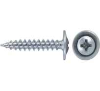 Стальной оцинкованный саморез с прессшайбой Tech-krep СММ пр.ш. остр. 4,2х25 1000шт. 00001055